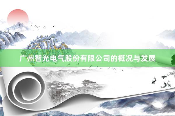 广州智光电气股份有限公司的概况与发展